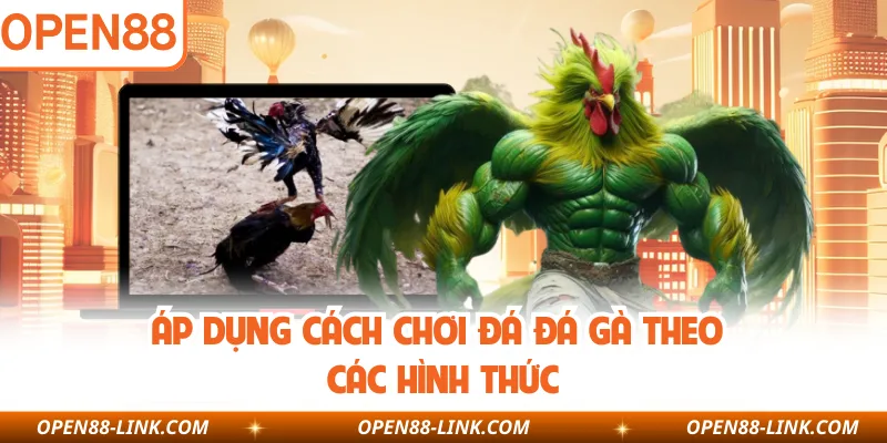 Áp dụng cách chơi đá đá gà theo các hình thức