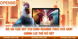 Đá Gà Cựa Sắt Với Kinh Nghiệm Theo Dõi Giúp Giành Lợi Thế Rõ Rệt